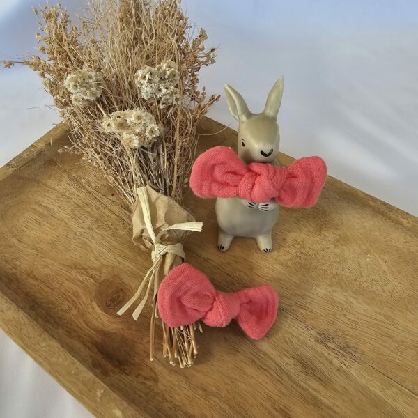 Barrettes corail